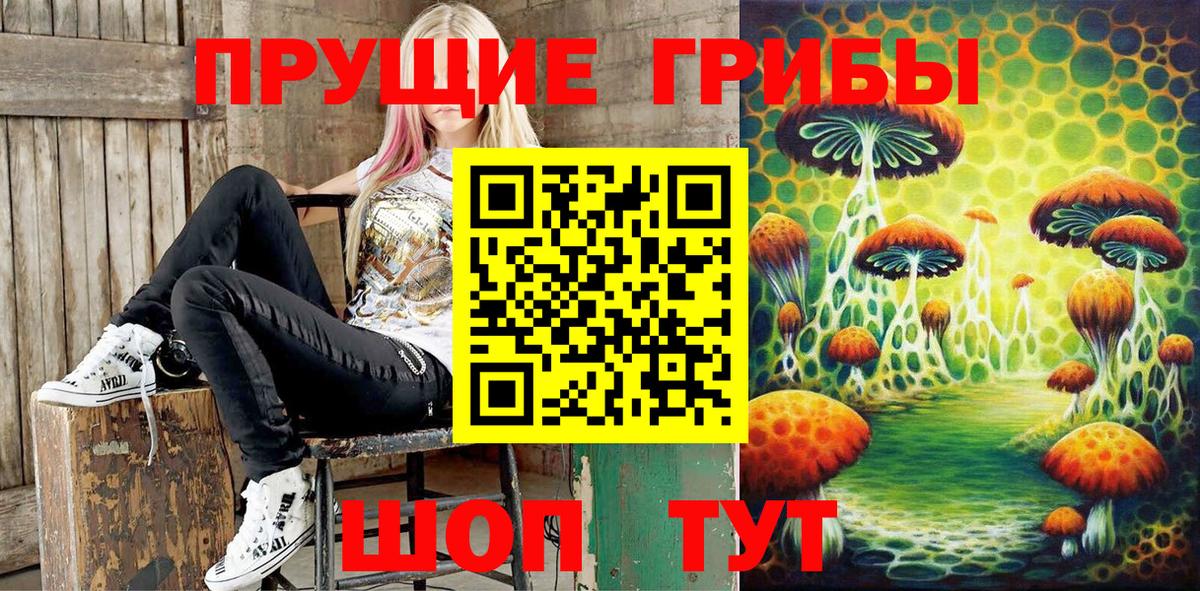 Псилоцибиновые грибы Magic Shrooms  Псилоцибиновые грибы Psilocybine cubensis  Нижний Новгород  как найти   Вход с VPN 